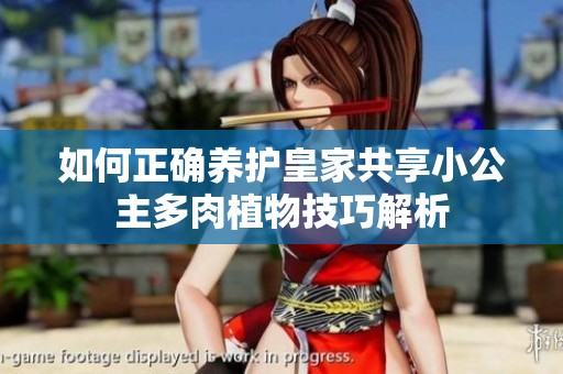 如何正确养护皇家共享小公主多肉植物技巧解析