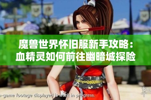 魔兽世界怀旧服新手攻略：血精灵如何前往幽暗城探险秘诀