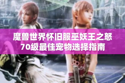 魔兽世界怀旧服巫妖王之怒70级最佳宠物选择指南