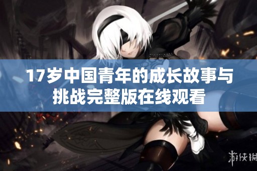 17岁中国青年的成长故事与挑战完整版在线观看