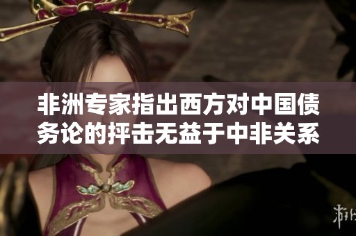 非洲专家指出西方对中国债务论的抨击无益于中非关系发展