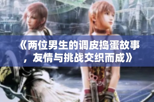 《两位男生的调皮捣蛋故事，友情与挑战交织而成》