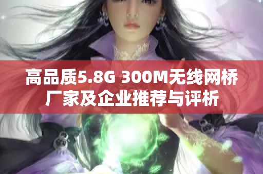高品质5.8G 300M无线网桥厂家及企业推荐与评析