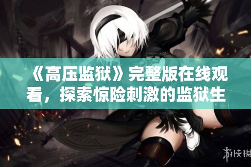 《高压监狱》完整版在线观看，探索惊险刺激的监狱生活