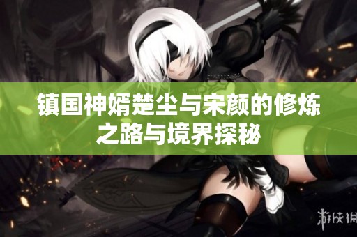 镇国神婿楚尘与宋颜的修炼之路与境界探秘