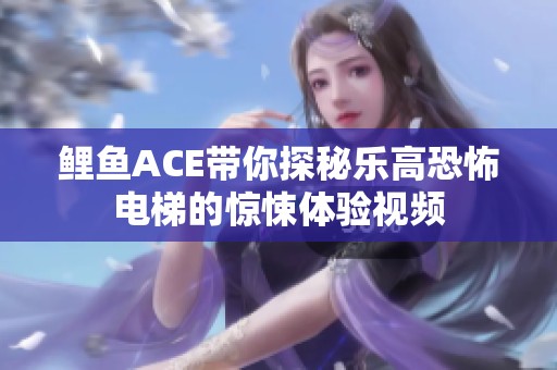 鲤鱼ACE带你探秘乐高恐怖电梯的惊悚体验视频