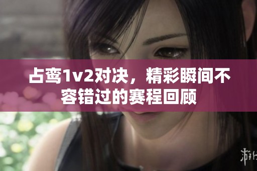 占鸾1v2对决，精彩瞬间不容错过的赛程回顾