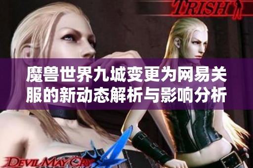 魔兽世界九城变更为网易关服的新动态解析与影响分析