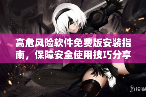 高危风险软件免费版安装指南，保障安全使用技巧分享