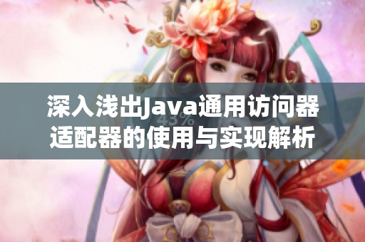 深入浅出Java通用访问器适配器的使用与实现解析