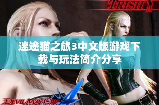 迷途猫之旅3中文版游戏下载与玩法简介分享