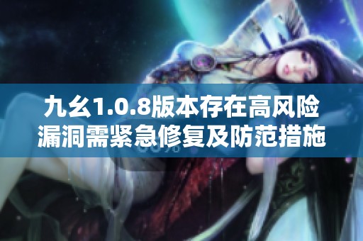 九幺1.0.8版本存在高风险漏洞需紧急修复及防范措施