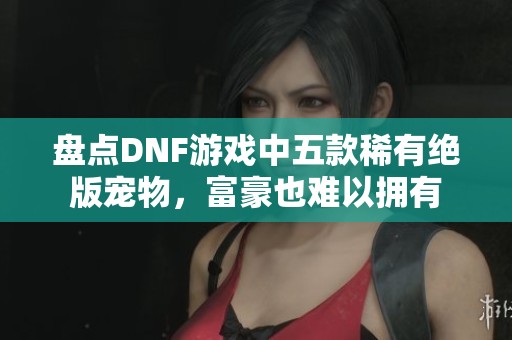 盘点DNF游戏中五款稀有绝版宠物，富豪也难以拥有