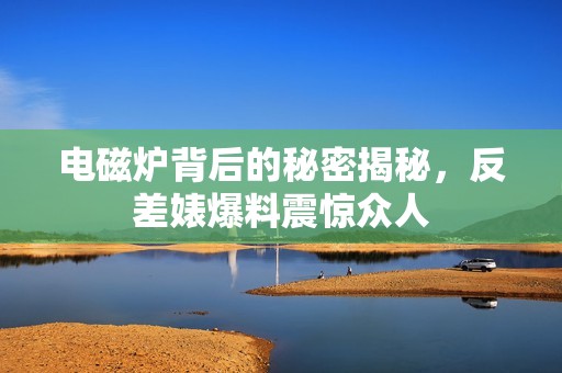 电磁炉背后的秘密揭秘，反差婊爆料震惊众人