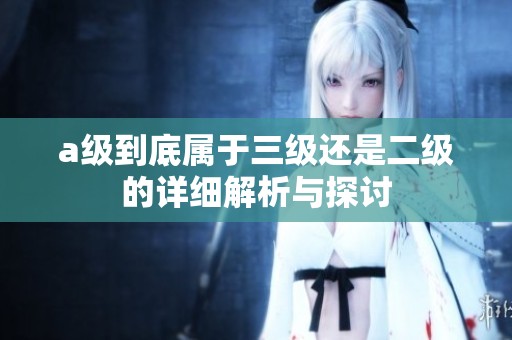 a级到底属于三级还是二级的详细解析与探讨