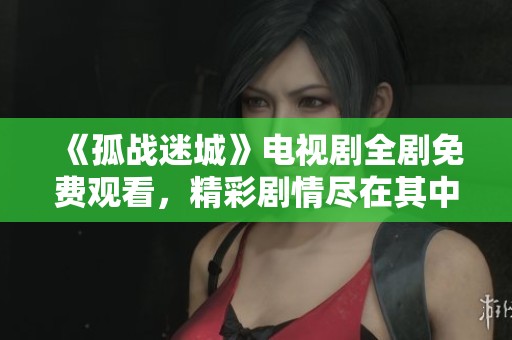 《孤战迷城》电视剧全剧免费观看，精彩剧情尽在其中