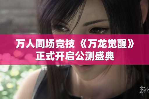 万人同场竞技 《万龙觉醒》正式开启公测盛典