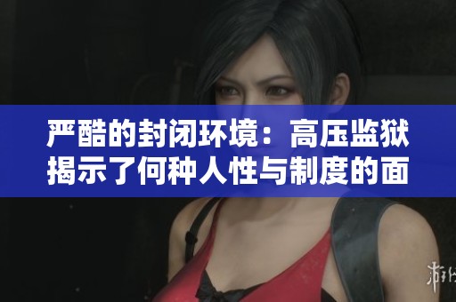 严酷的封闭环境：高压监狱揭示了何种人性与制度的面貌