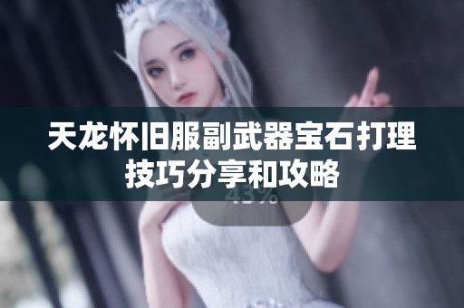 天龙怀旧服副武器宝石打理技巧分享和攻略