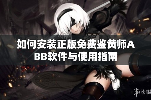 如何安装正版免费鉴黄师ABB软件与使用指南