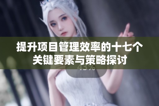 提升项目管理效率的十七个关键要素与策略探讨