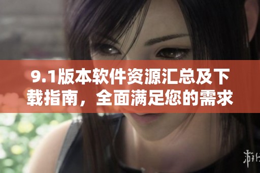 9.1版本软件资源汇总及下载指南，全面满足您的需求