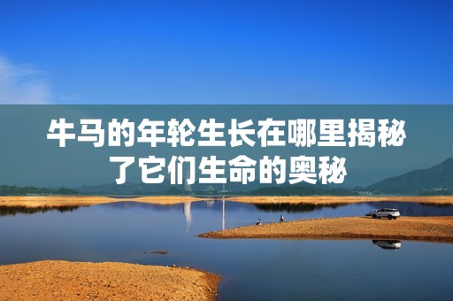 牛马的年轮生长在哪里揭秘了它们生命的奥秘