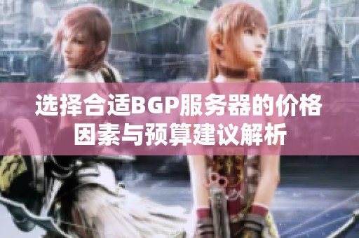 选择合适BGP服务器的价格因素与预算建议解析