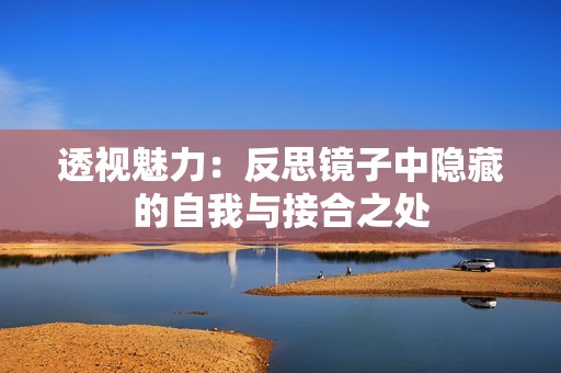 透视魅力：反思镜子中隐藏的自我与接合之处