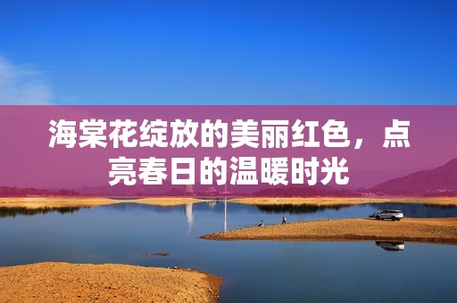海棠花绽放的美丽红色，点亮春日的温暖时光