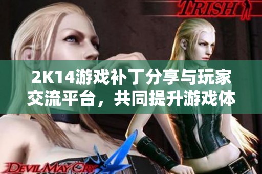 2K14游戏补丁分享与玩家交流平台，共同提升游戏体验