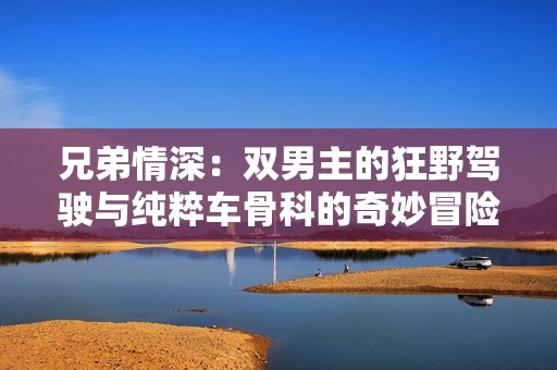 兄弟情深：双男主的狂野驾驶与纯粹车骨科的奇妙冒险
