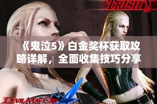 《鬼泣5》白金奖杯获取攻略详解，全面收集技巧分享