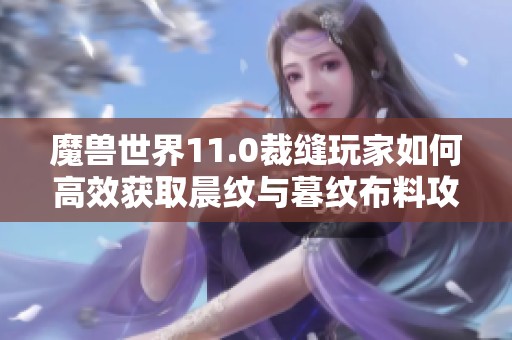 魔兽世界11.0裁缝玩家如何高效获取晨纹与暮纹布料攻略