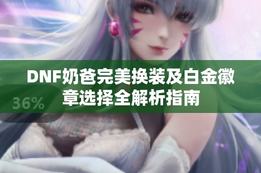 DNF奶爸完美换装及白金徽章选择全解析指南