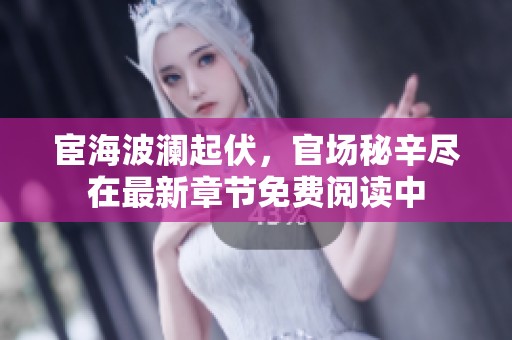 宦海波澜起伏，官场秘辛尽在最新章节免费阅读中