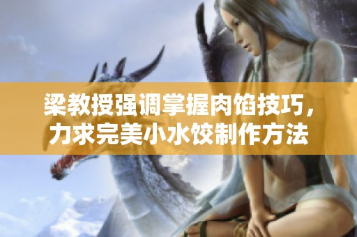 梁教授强调掌握肉馅技巧，力求完美小水饺制作方法