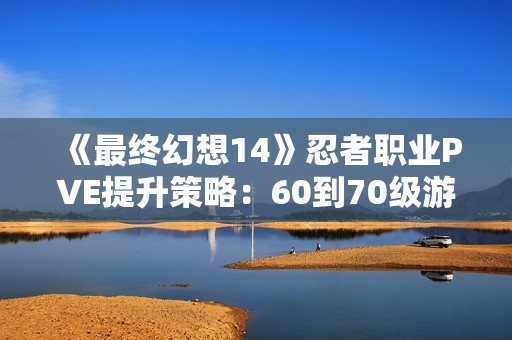 《最终幻想14》忍者职业PVE提升策略：60到70级游戏指南