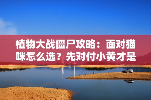 植物大战僵尸攻略：面对猫咪怎么选？先对付小黄才是王道！