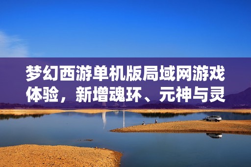 梦幻西游单机版局域网游戏体验，新增魂环、元神与灵宝系统解析