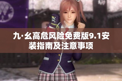 九·幺高危风险免费版9.1安装指南及注意事项
