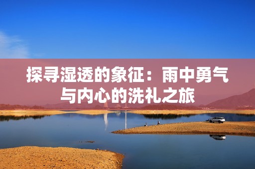 探寻湿透的象征：雨中勇气与内心的洗礼之旅
