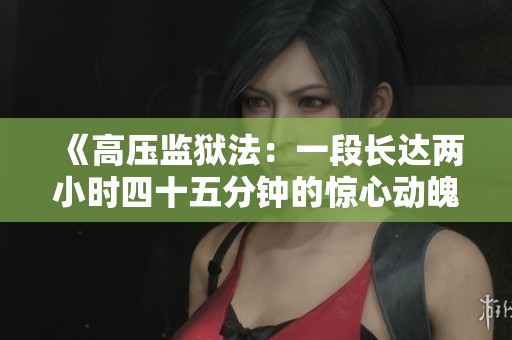 《高压监狱法：一段长达两小时四十五分钟的惊心动魄之旅》