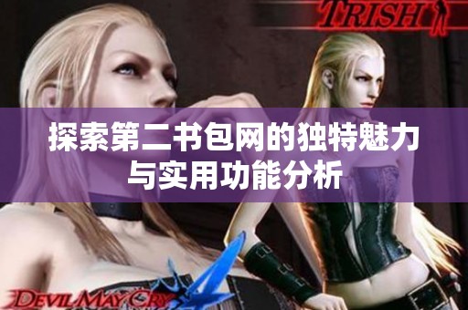 探索第二书包网的独特魅力与实用功能分析