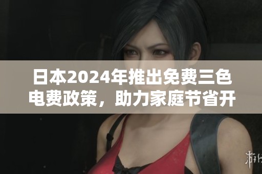 日本2024年推出免费三色电费政策，助力家庭节省开支