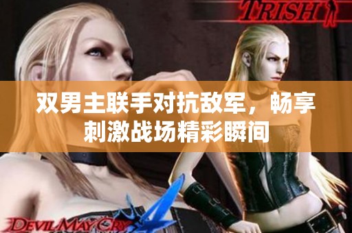双男主联手对抗敌军，畅享刺激战场精彩瞬间