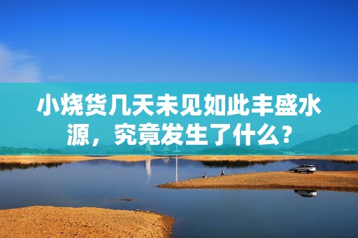 小烧货几天未见如此丰盛水源，究竟发生了什么？