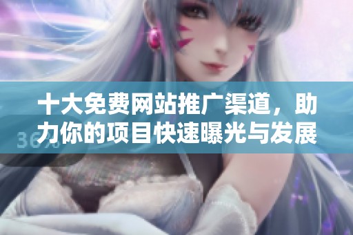 十大免费网站推广渠道，助力你的项目快速曝光与发展