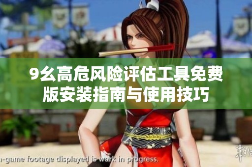 9幺高危风险评估工具免费版安装指南与使用技巧