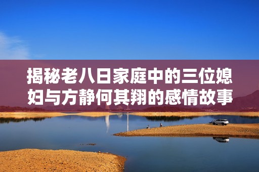揭秘老八日家庭中的三位媳妇与方静何其翔的感情故事
